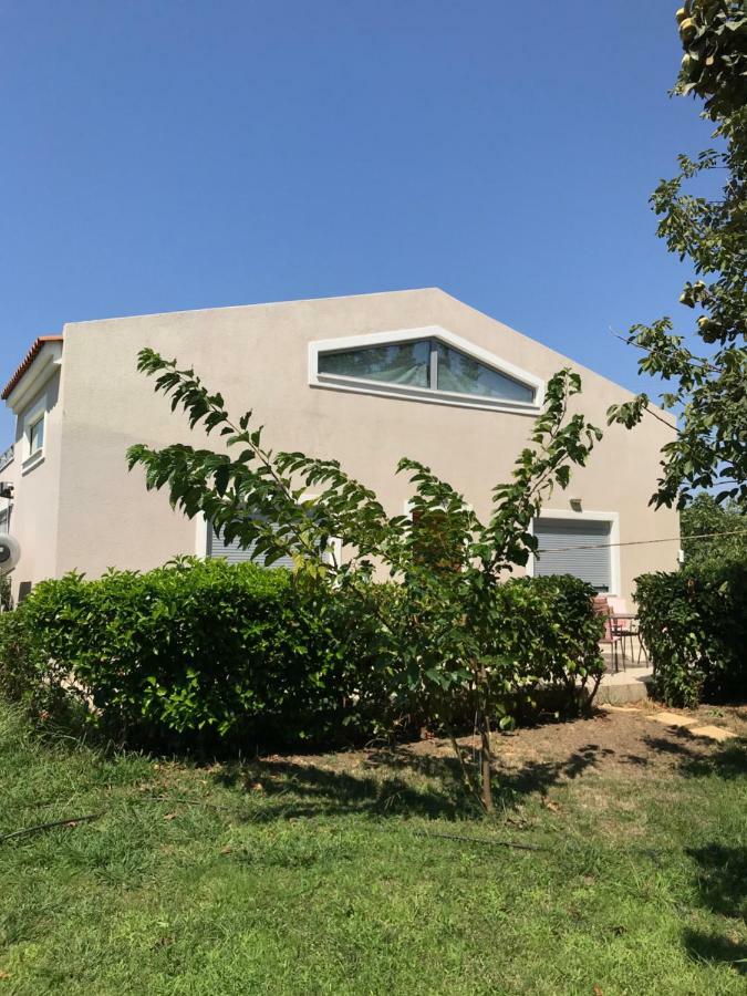 スカラ・エレソス Perivoli House Bヴィラ エクステリア 写真